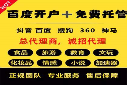 如何在sem竞价托管中取得卓越效果——案例解读